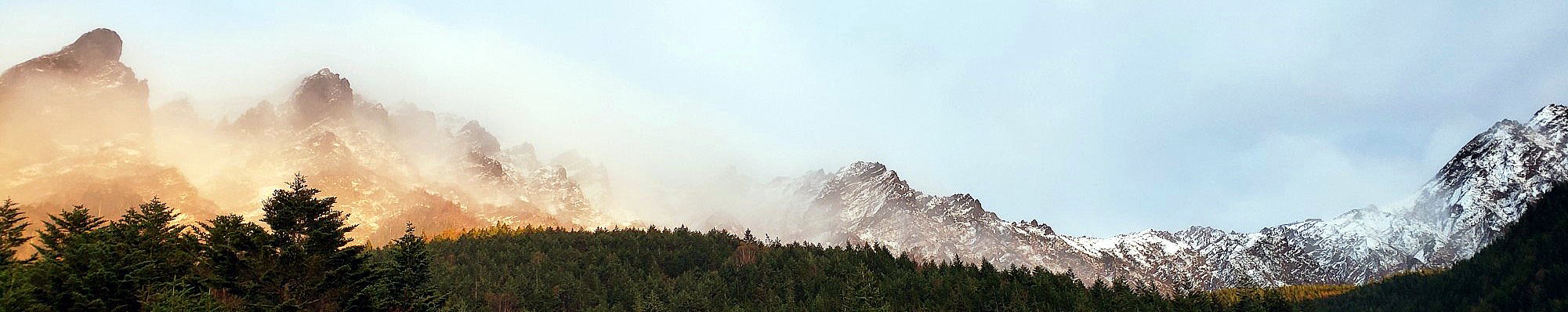 ウェブ アニメーター