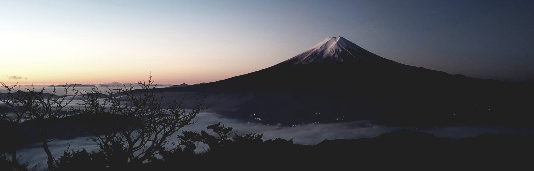 ウェブ アニメーター